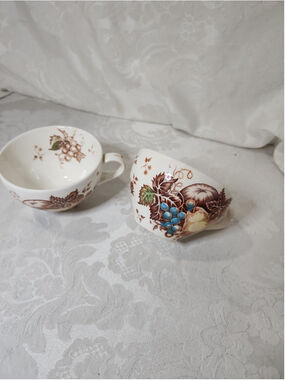 Nasco Fruit Festival Teacups Set of 2 Mid-Century Ceramic Japan